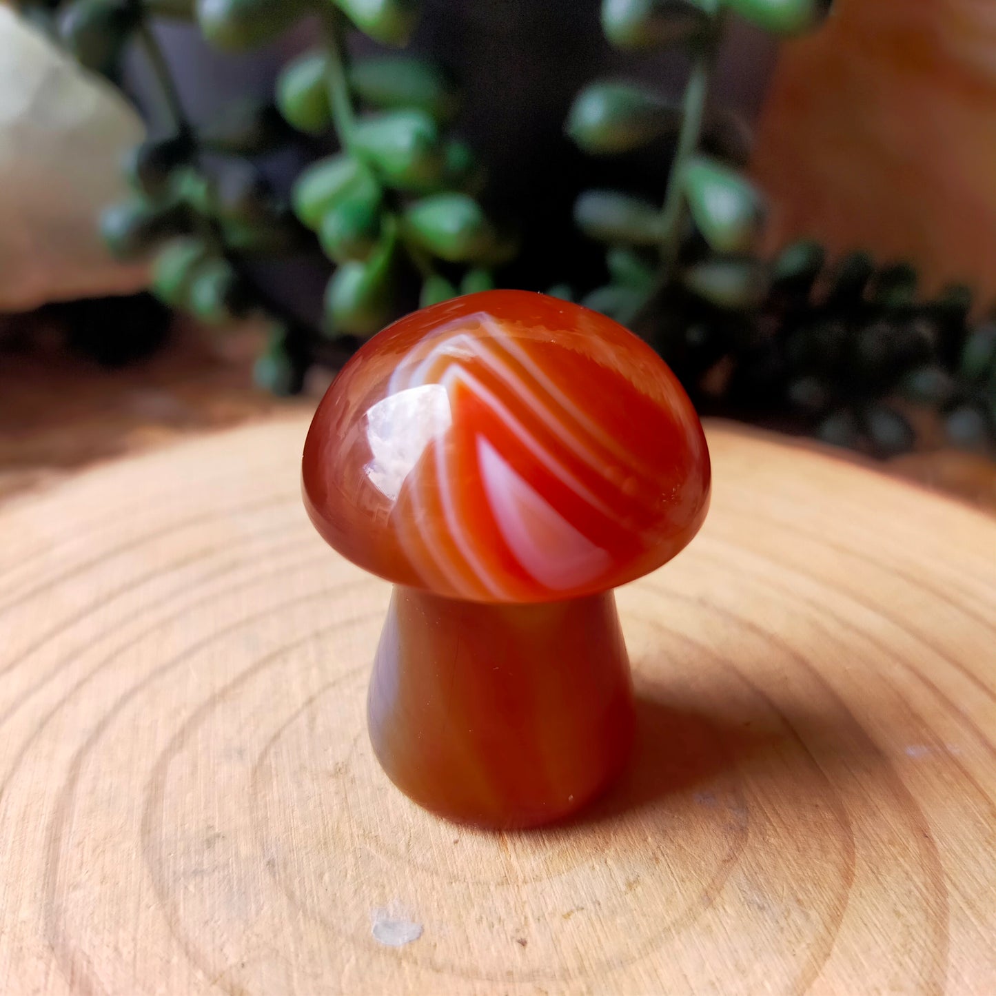 Carnelian Mushroom