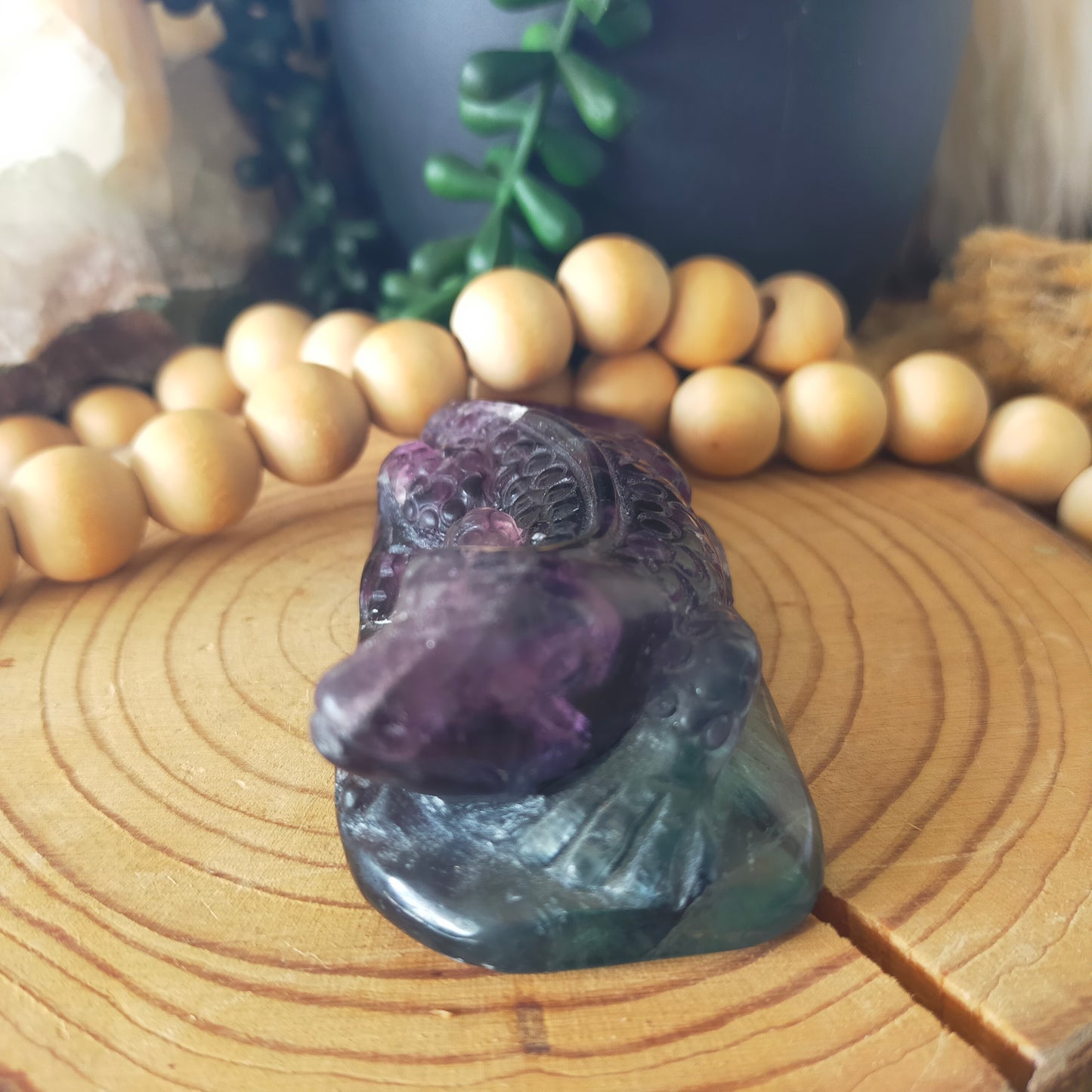 Fluorite Lizard