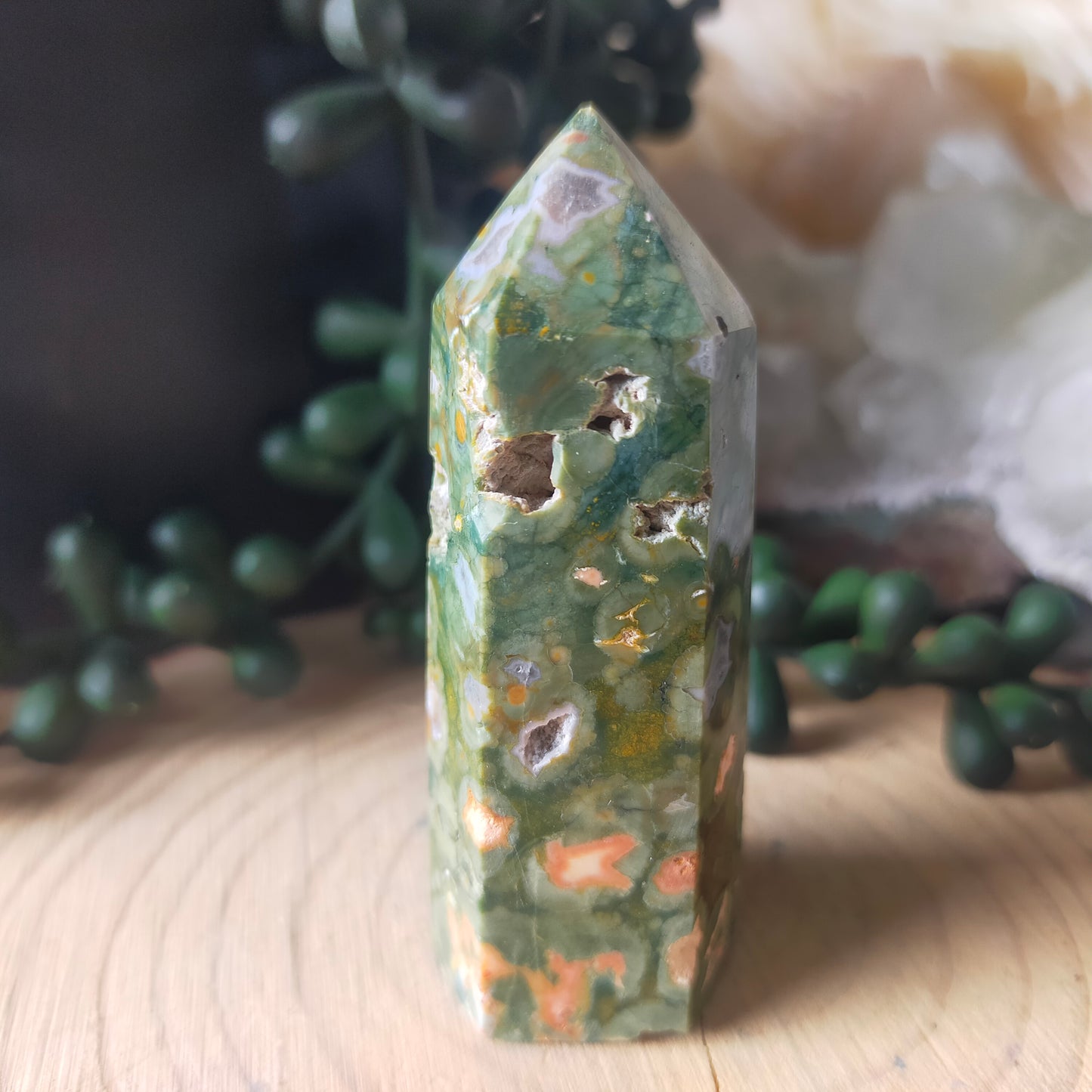 Rainforest Jasper Point