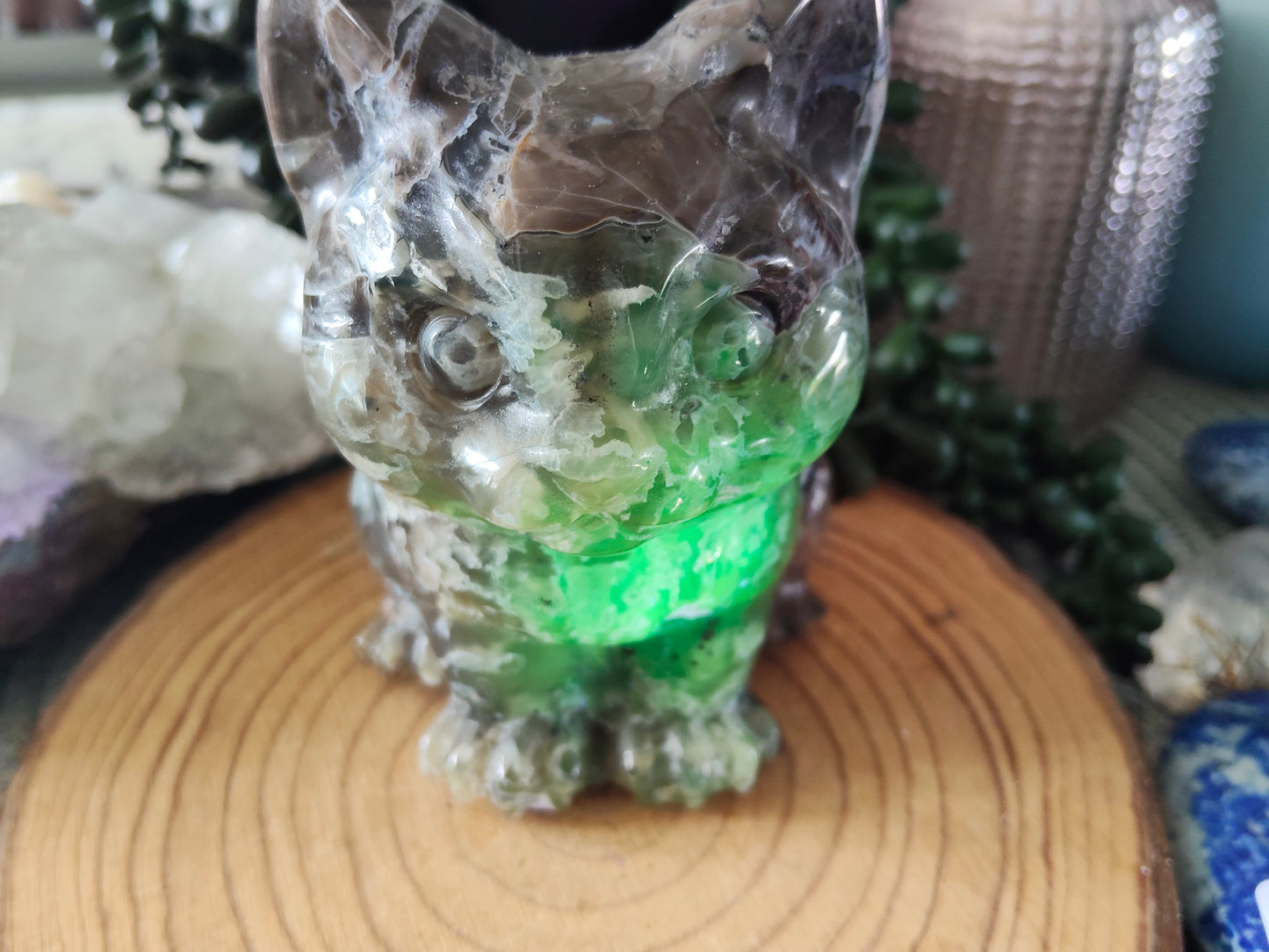 Volcano Agate Cat