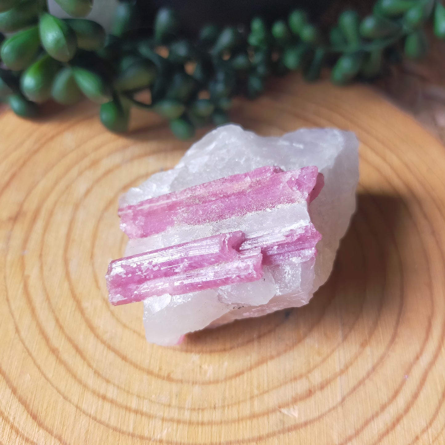 Raw Pink Tourmaline in Quartz