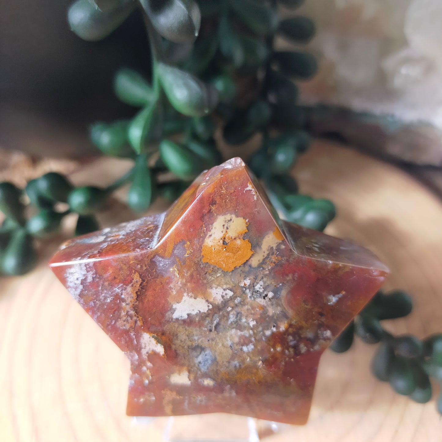 Ocean Jasper Star