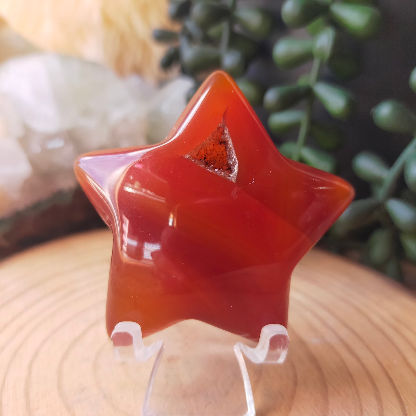 Carnelian Star
