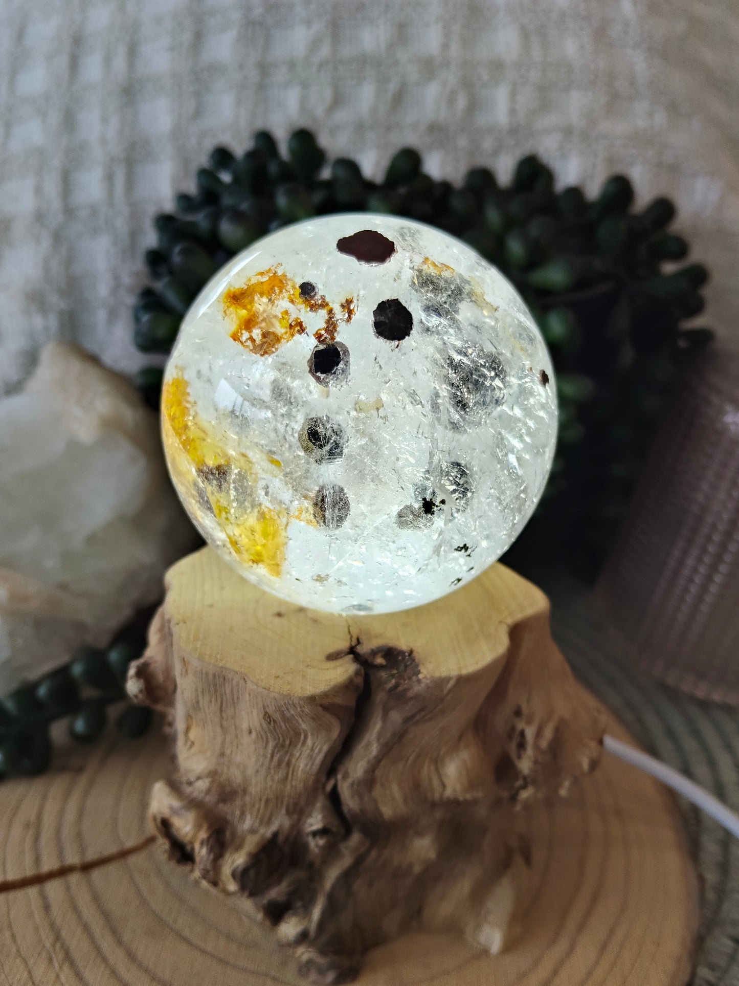 White Light Stump Bases