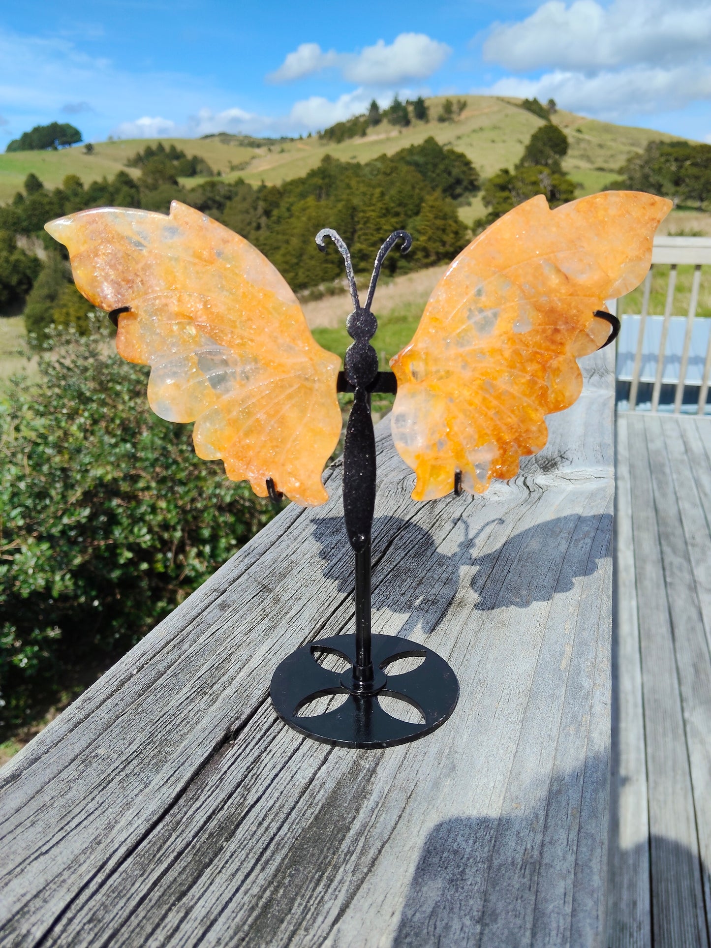 Golden Healer Butterfly