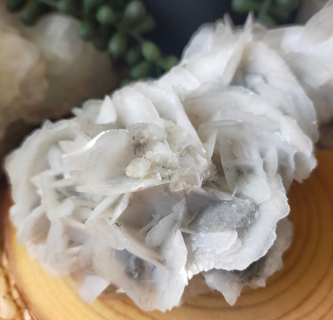 Angel Wing Calcite Specimen