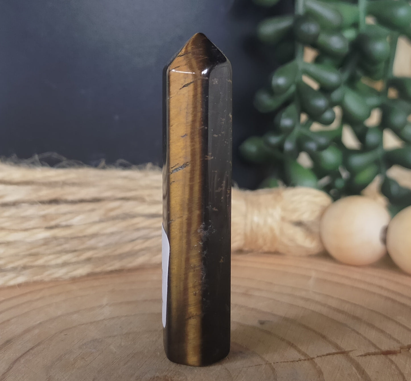 Mini Tigers Eye Point