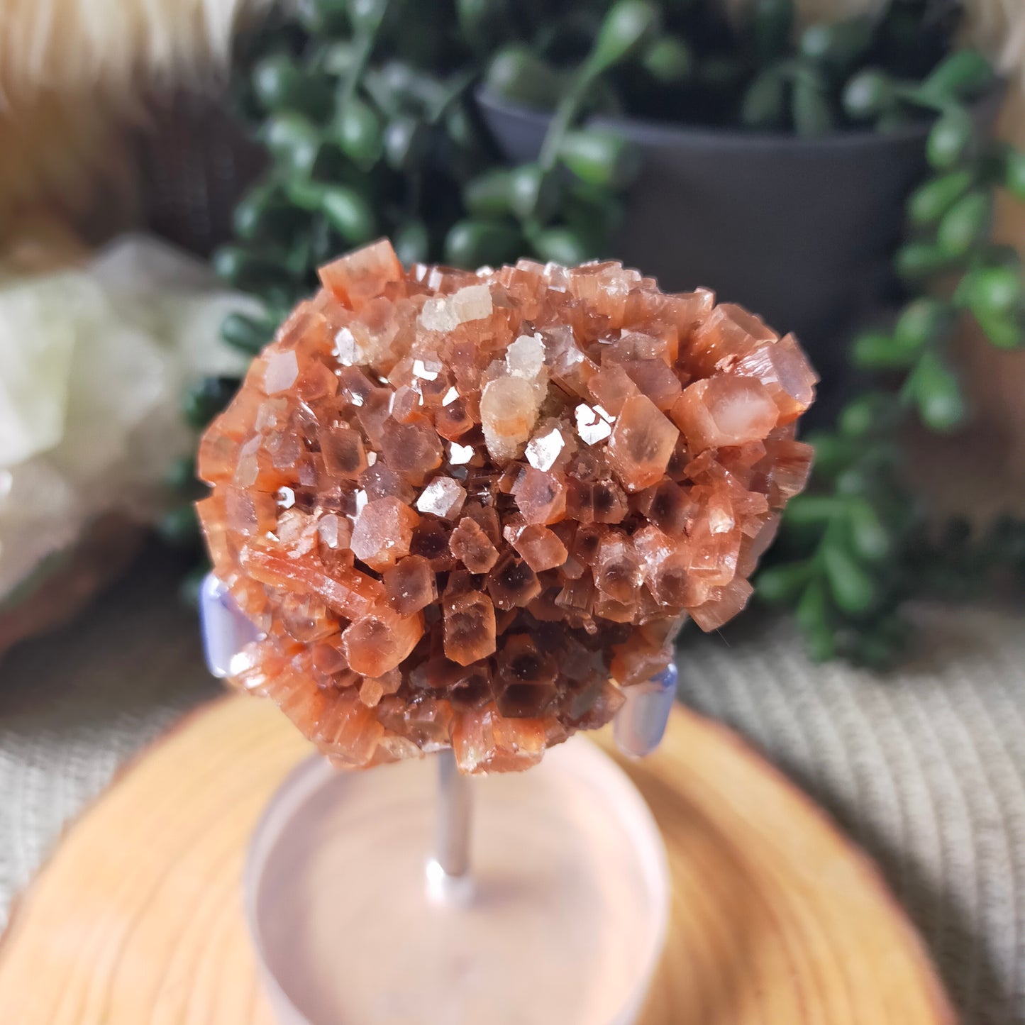Sputnik Aragonite