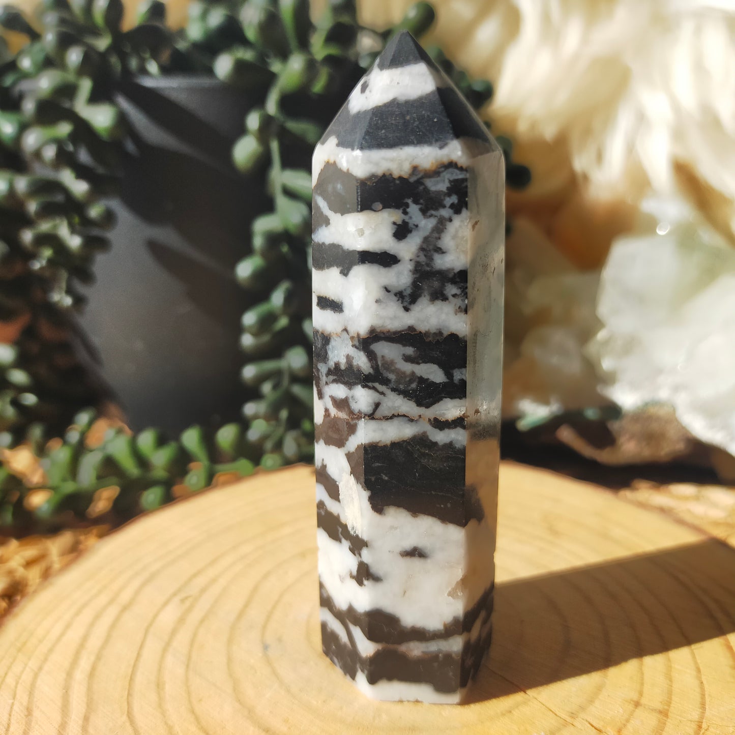 Zebra Jasper Point