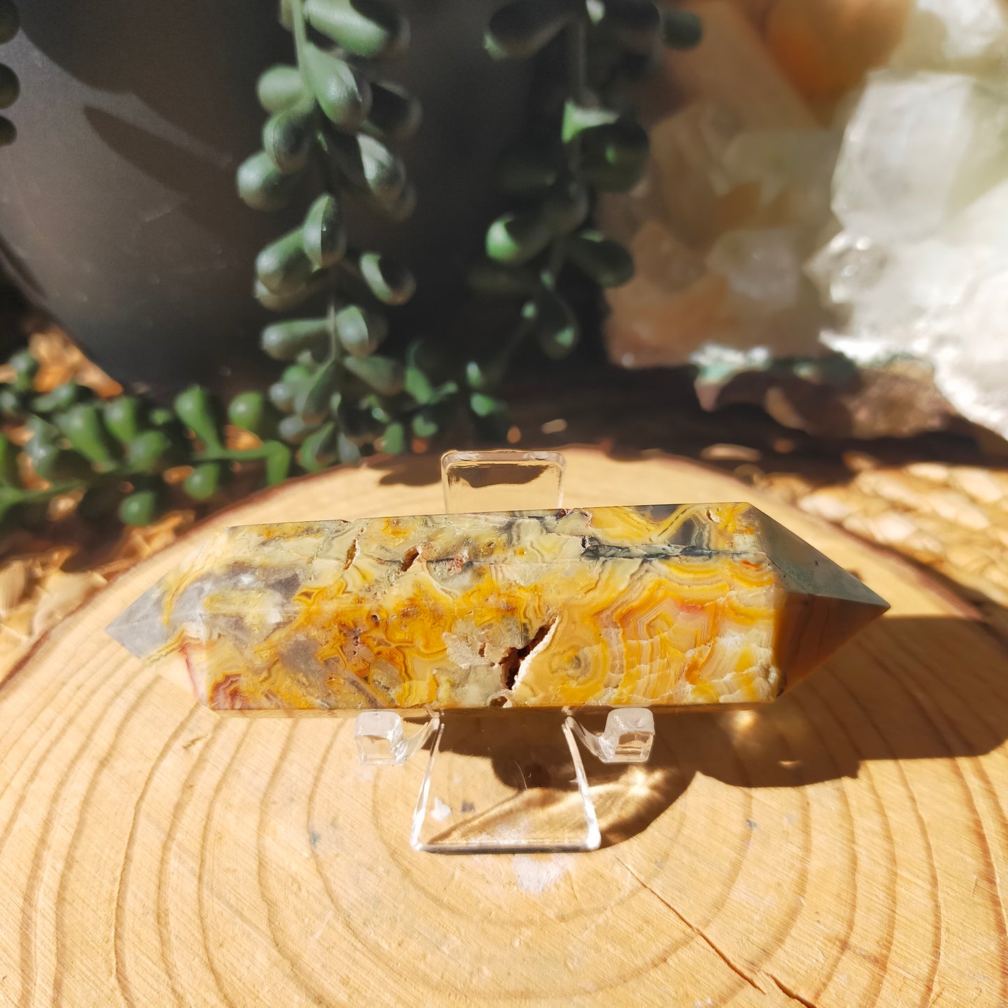 Crazy Lace Agate Double Terminated Points