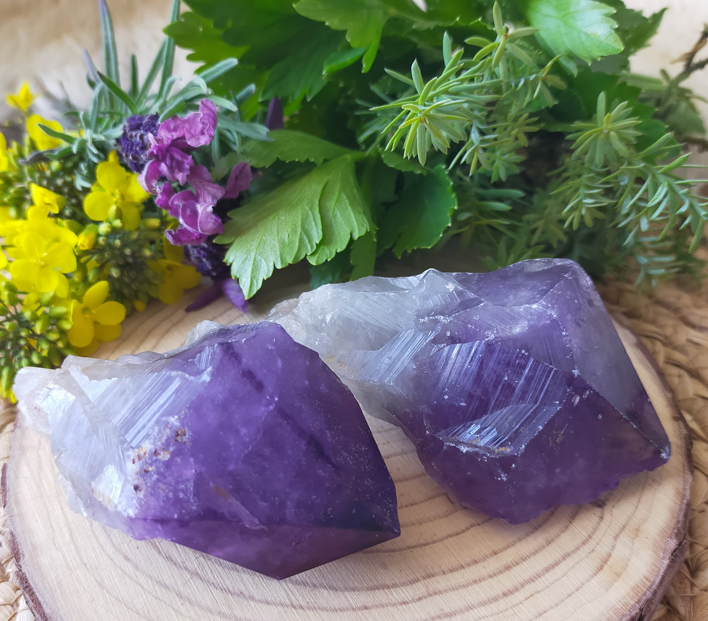 Raw Amethyst Points