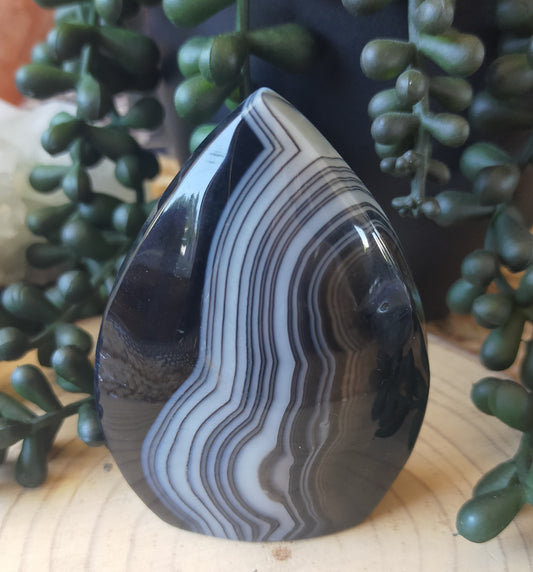 Black Agate Freeform