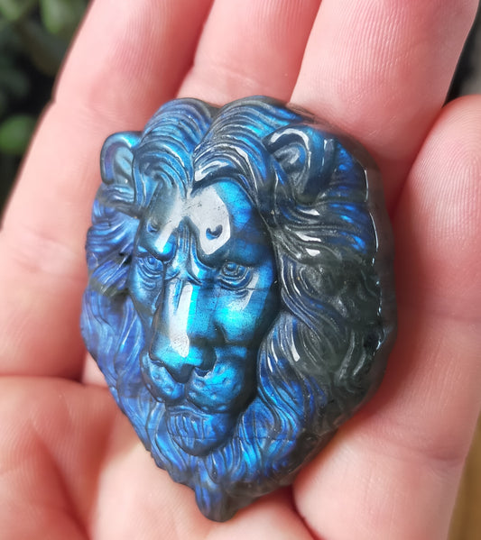 Labradorite Lion