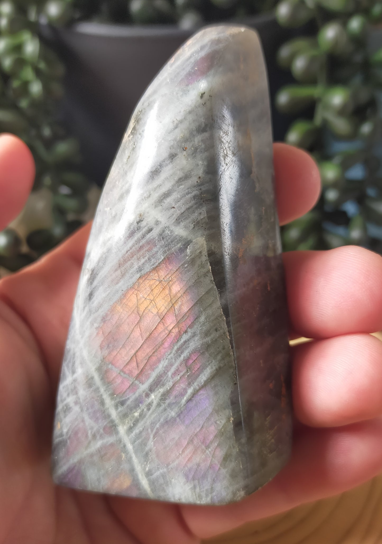 Labradorite Freeform