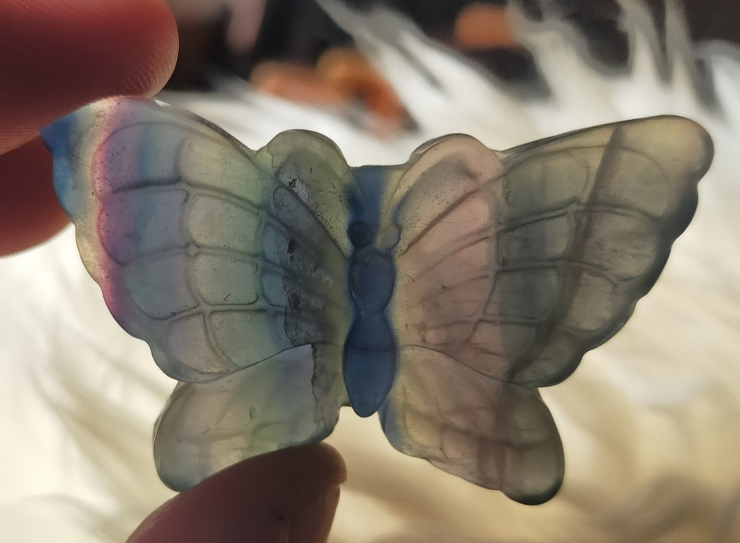 Fluorite Butterfly