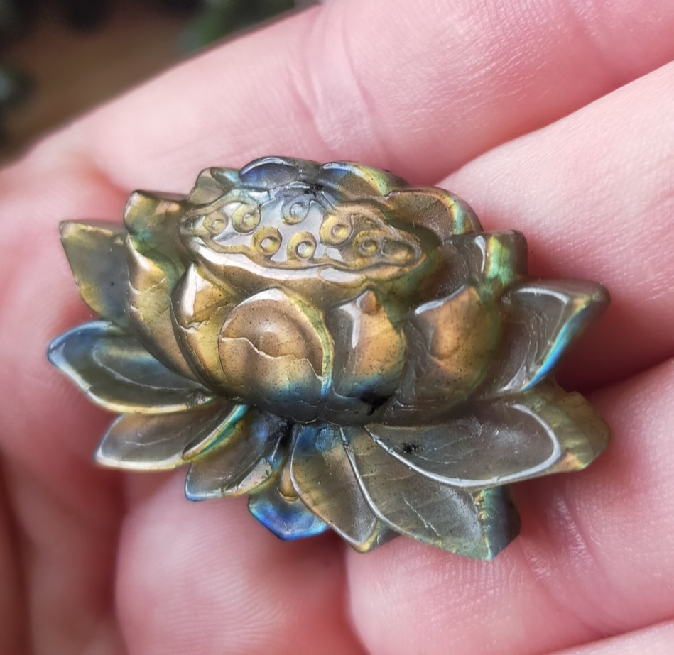 Labradorite Lotus