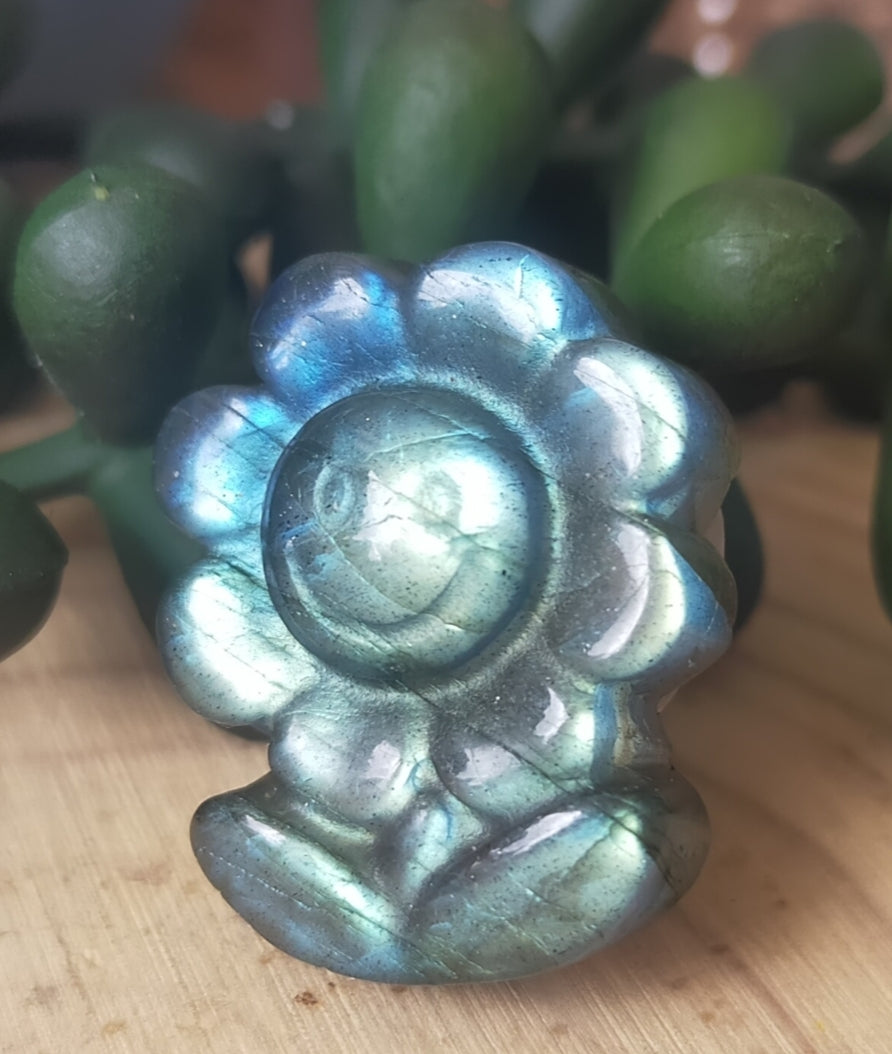 Labradorite Flower