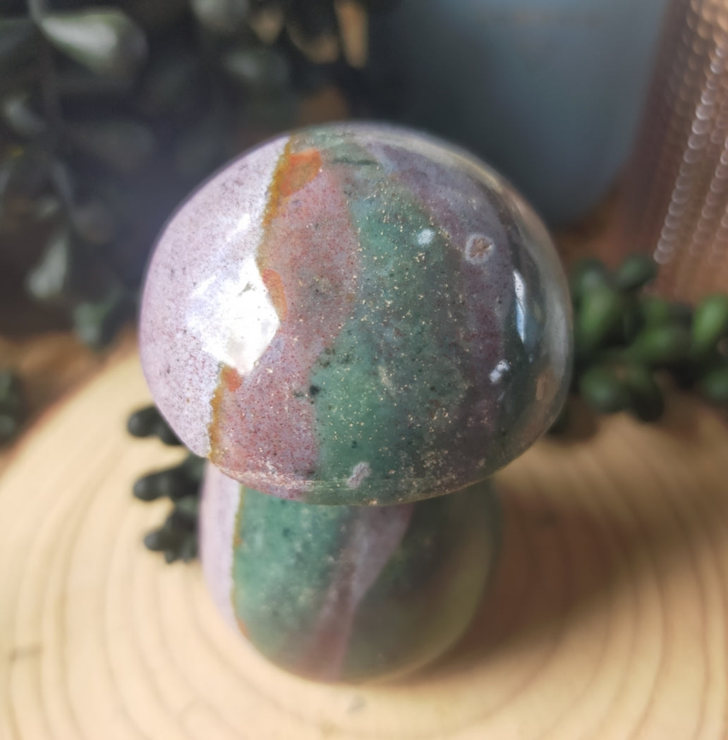 Ocean Jasper Mushroom