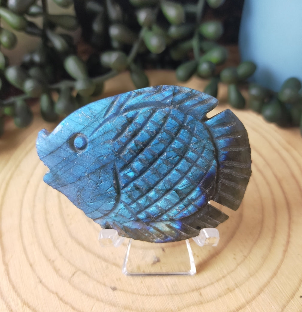 Labradorite Fish