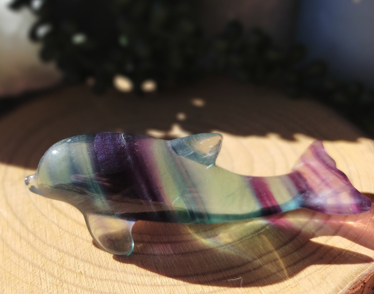 Fluorite Dolphins