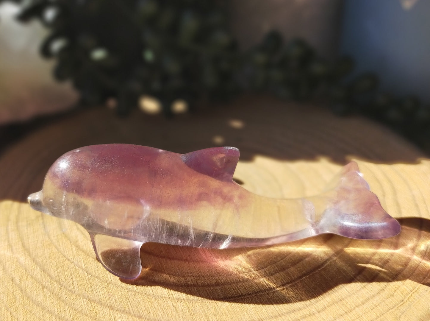 Fluorite Dolphins