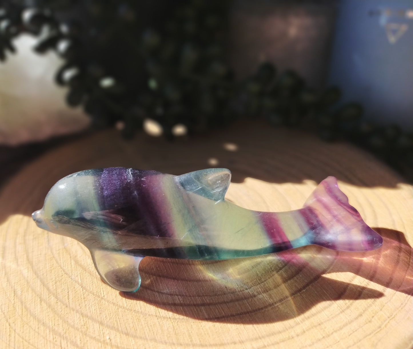 Fluorite Dolphins