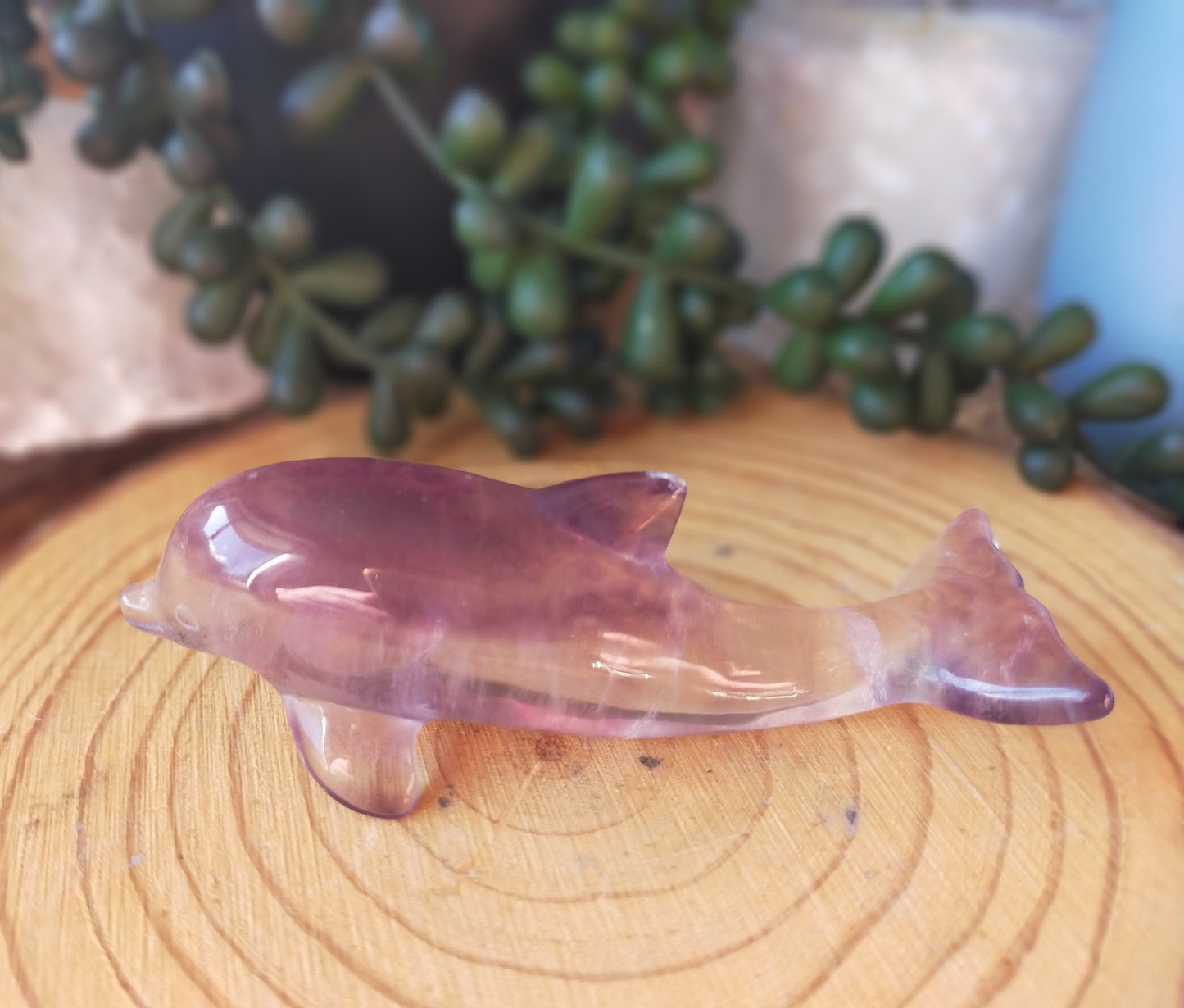 Fluorite Dolphins