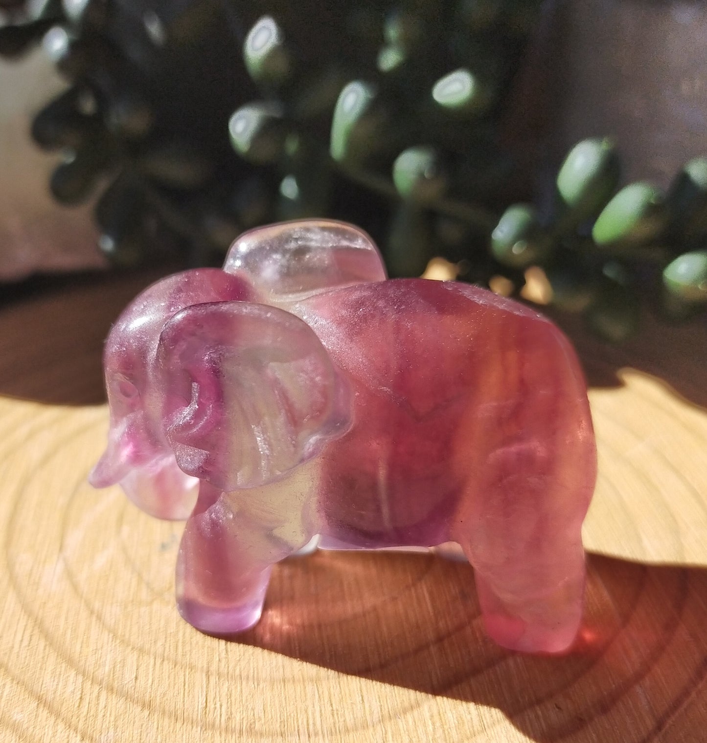 Candy Fluorite Elephants