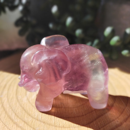 Candy Fluorite Elephants