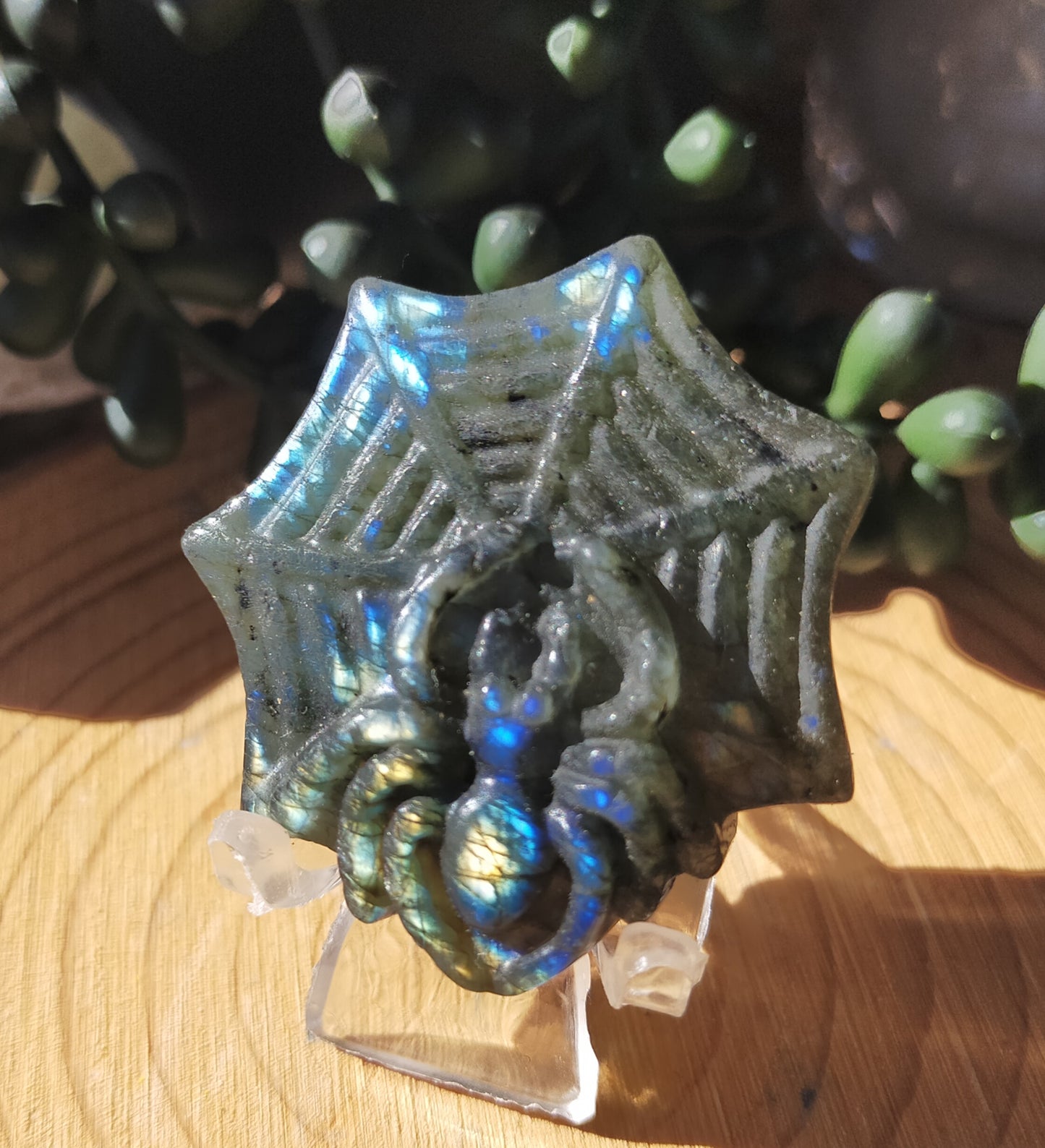 Labradorite Spider in Web