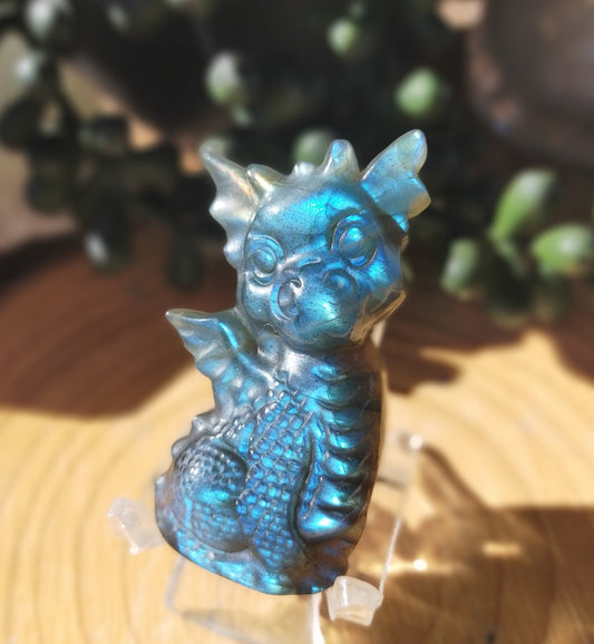 Labradorite Baby Dragon