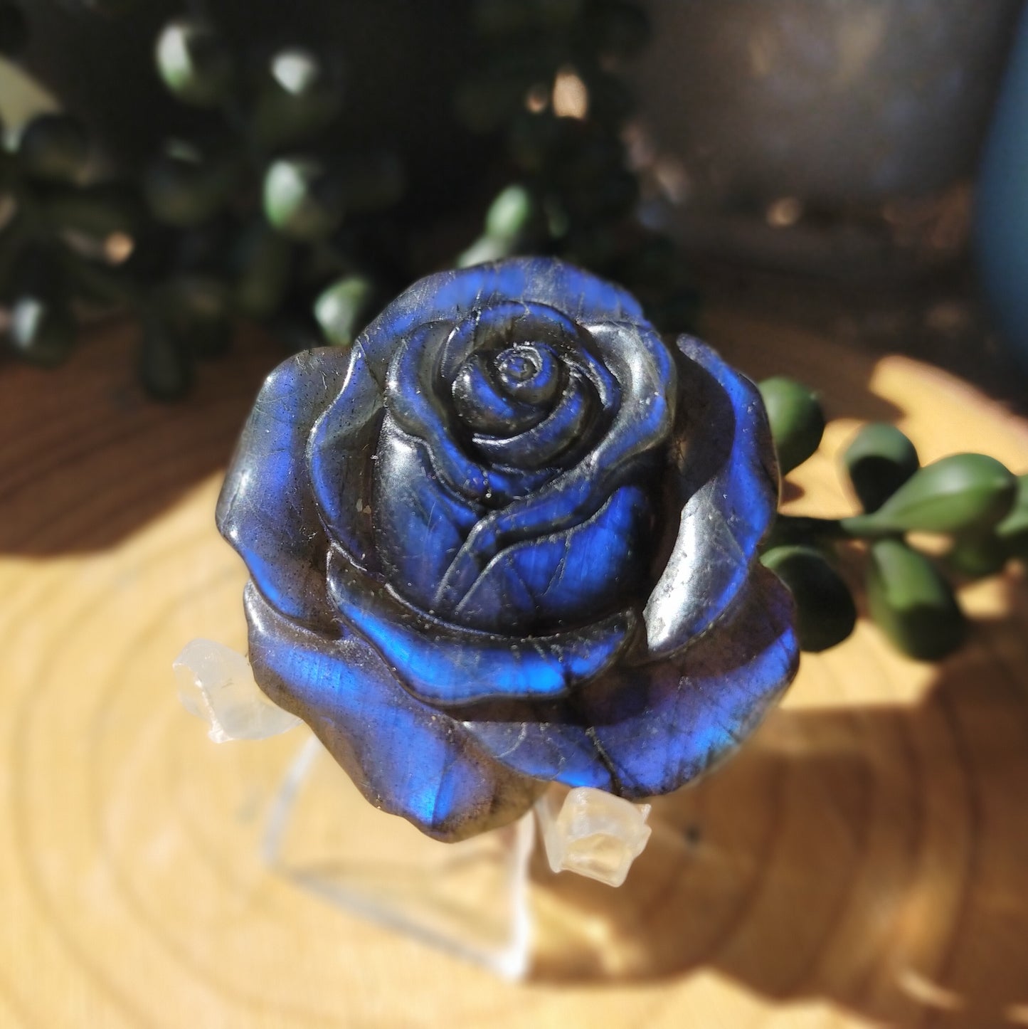 Labradorite Rose