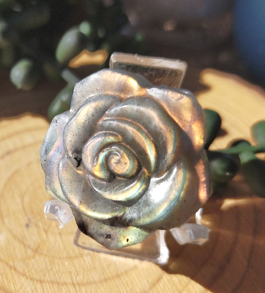 Labradorite Rose