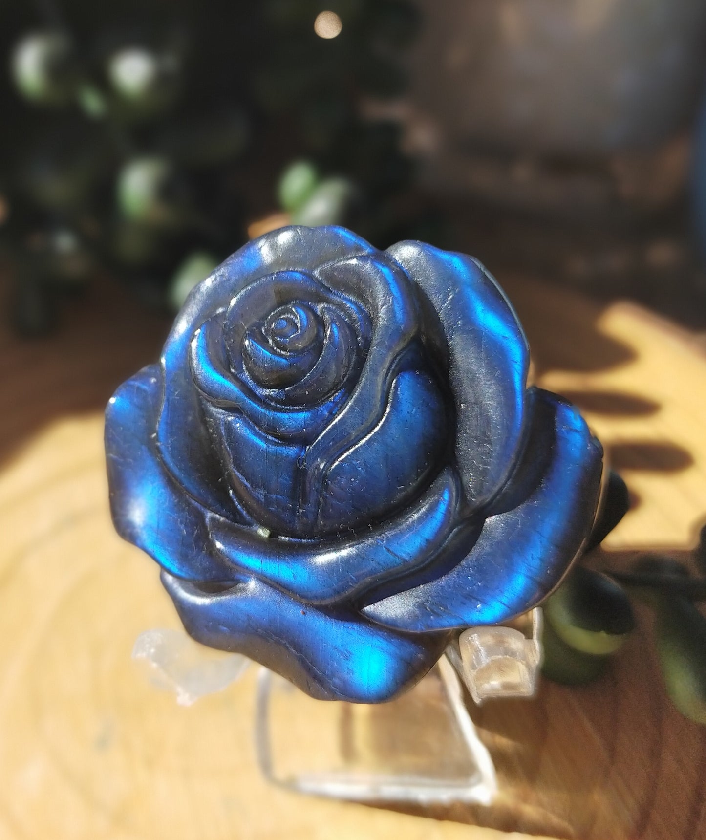 Labradorite Rose