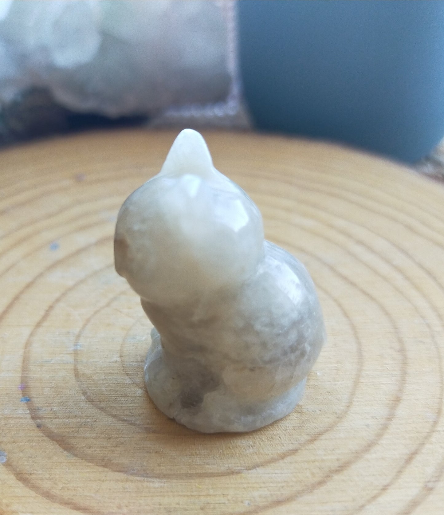 Moonstone Cat