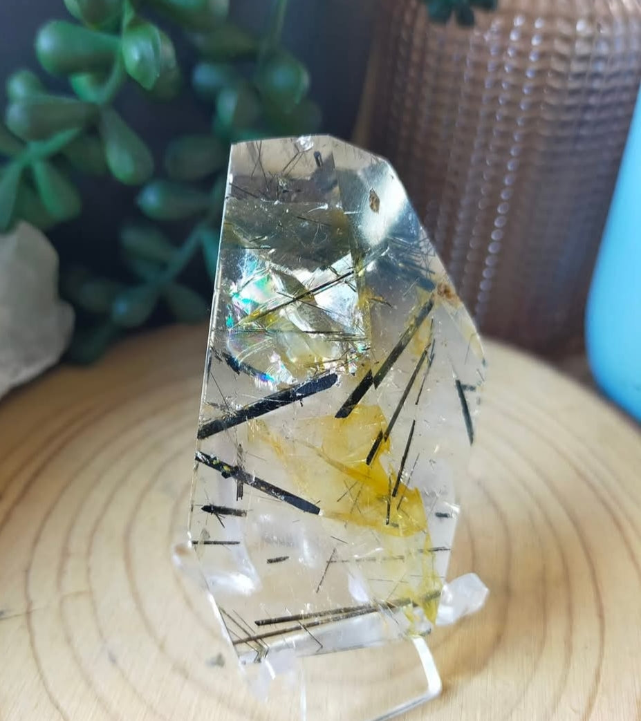 Black Tourmaline in Quartz Freeform