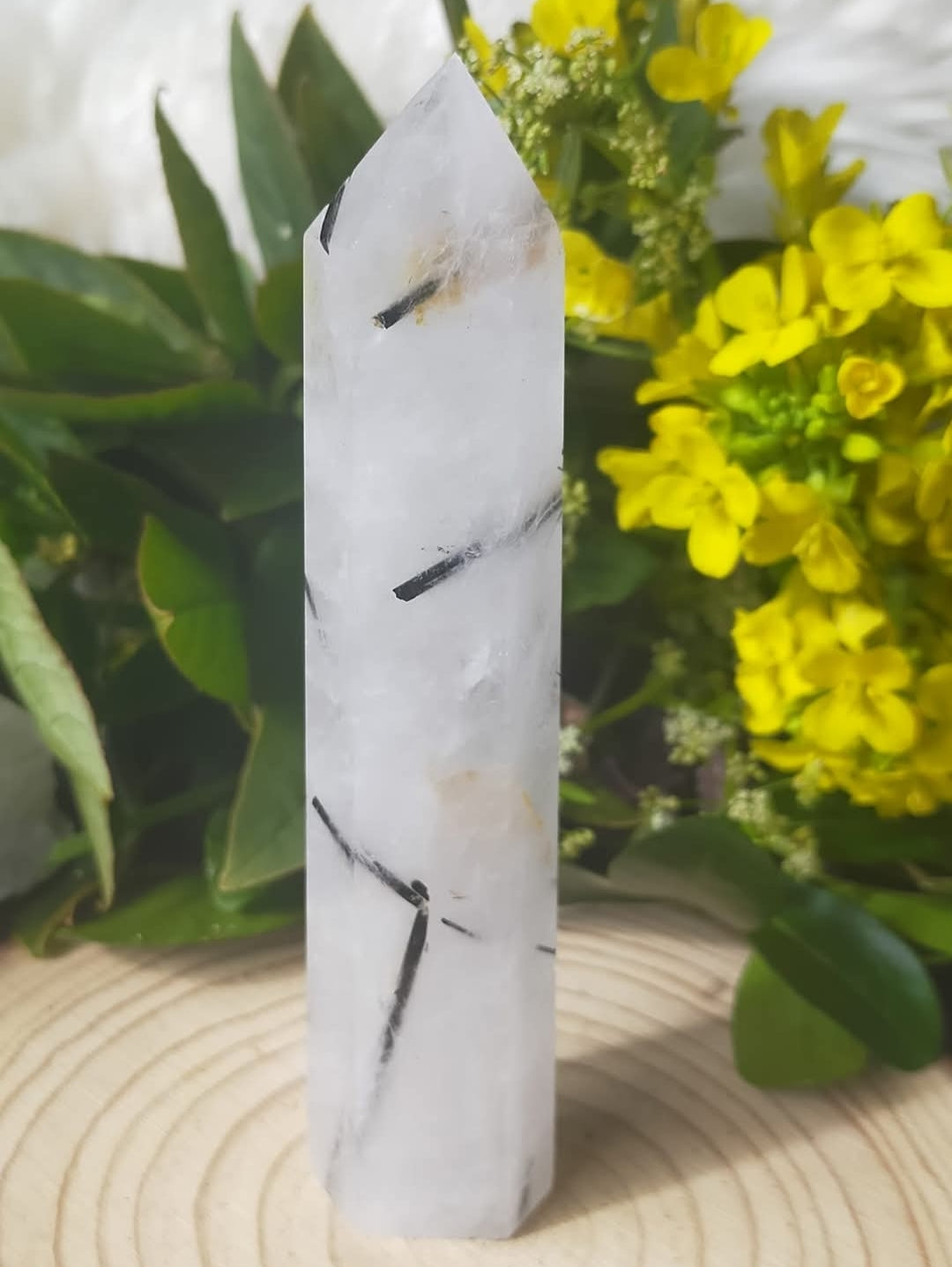 Black Tourmaline in Quartz Point