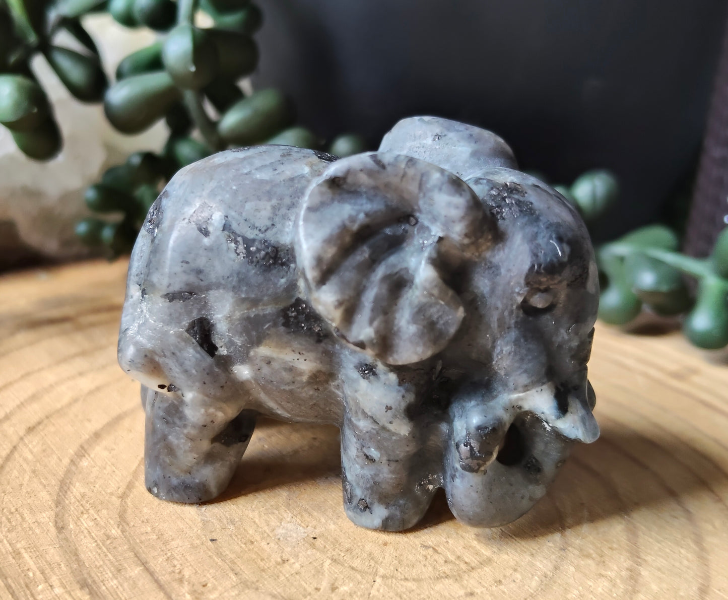 Larvakite Elephant