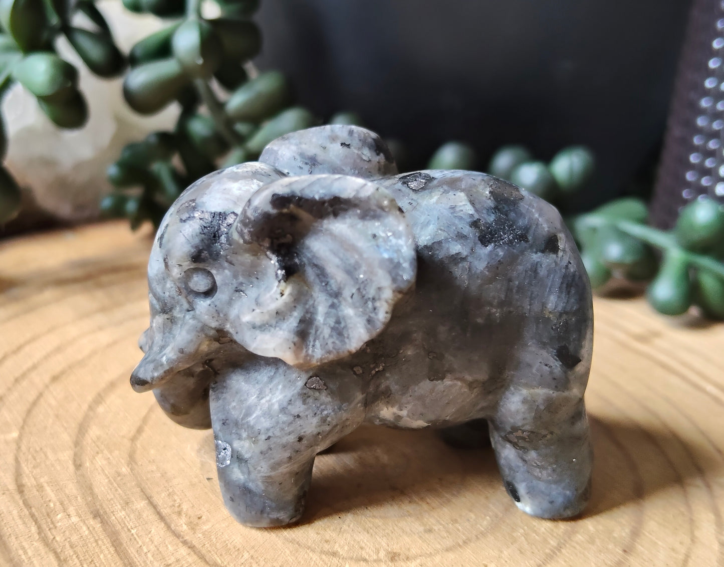 Larvakite Elephant