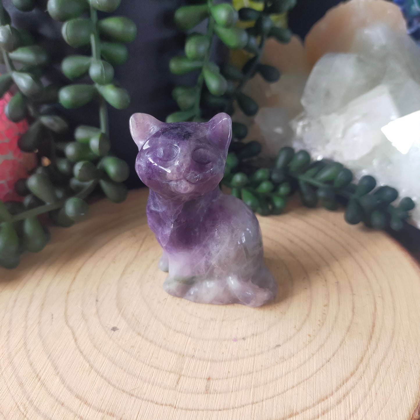 Chevron Amethyst Cat