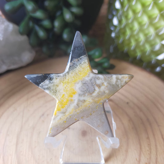 Bumblebee Jasper Stars