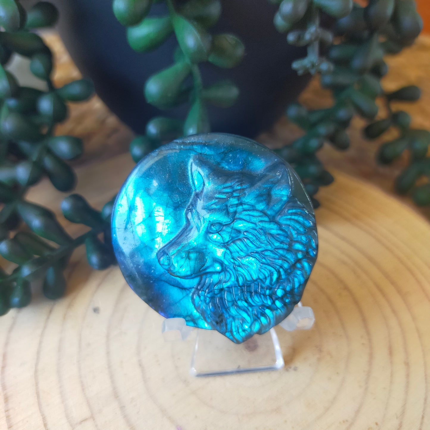 Labradorite Wolf