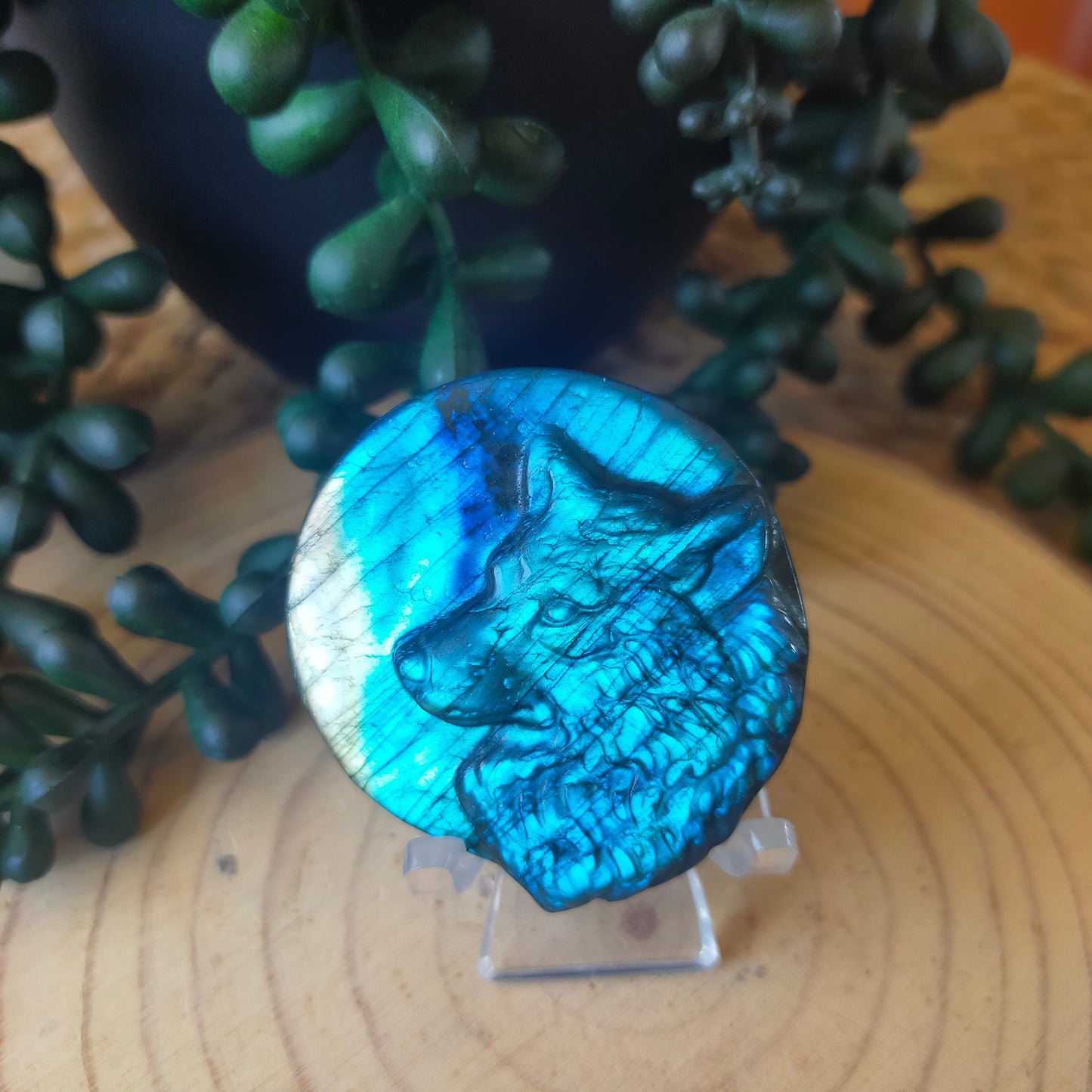 Labradorite Wolf