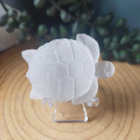 Satin Spar Turtle