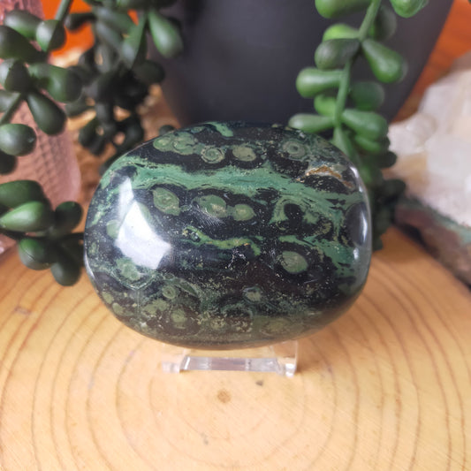 Kambaba Jasper Palmstone