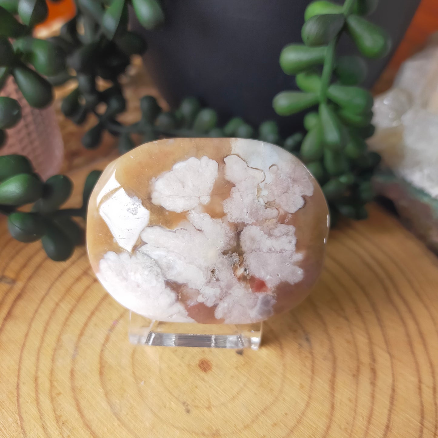 Flower Agate Palmstone