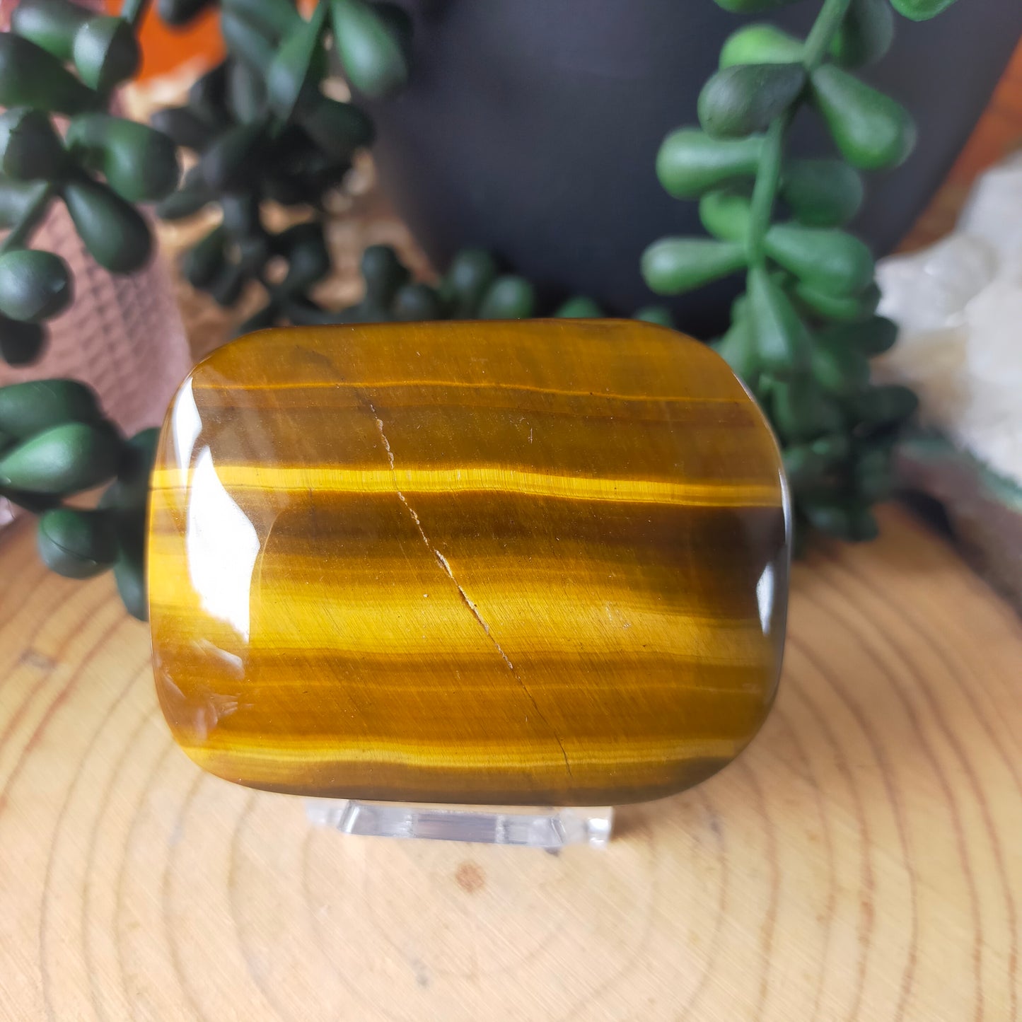 Tigers Eye Palmstone