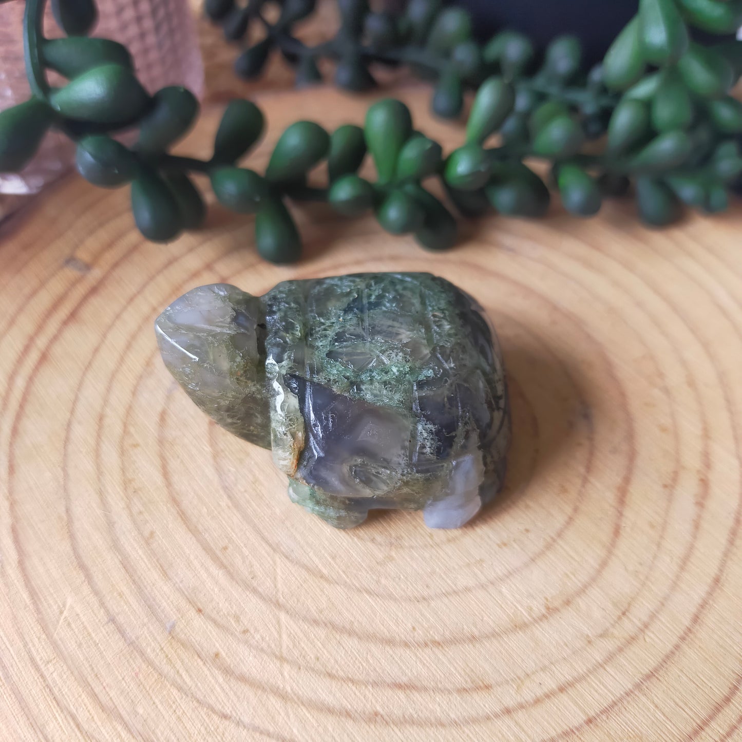 Moss Agate Turtle