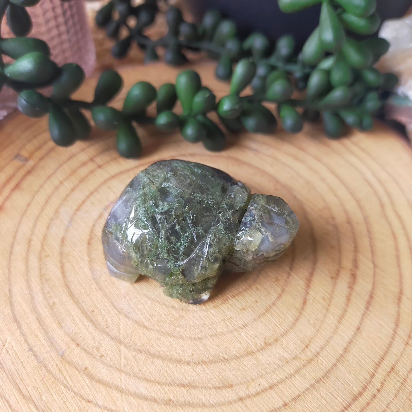 Moss Agate Turtle