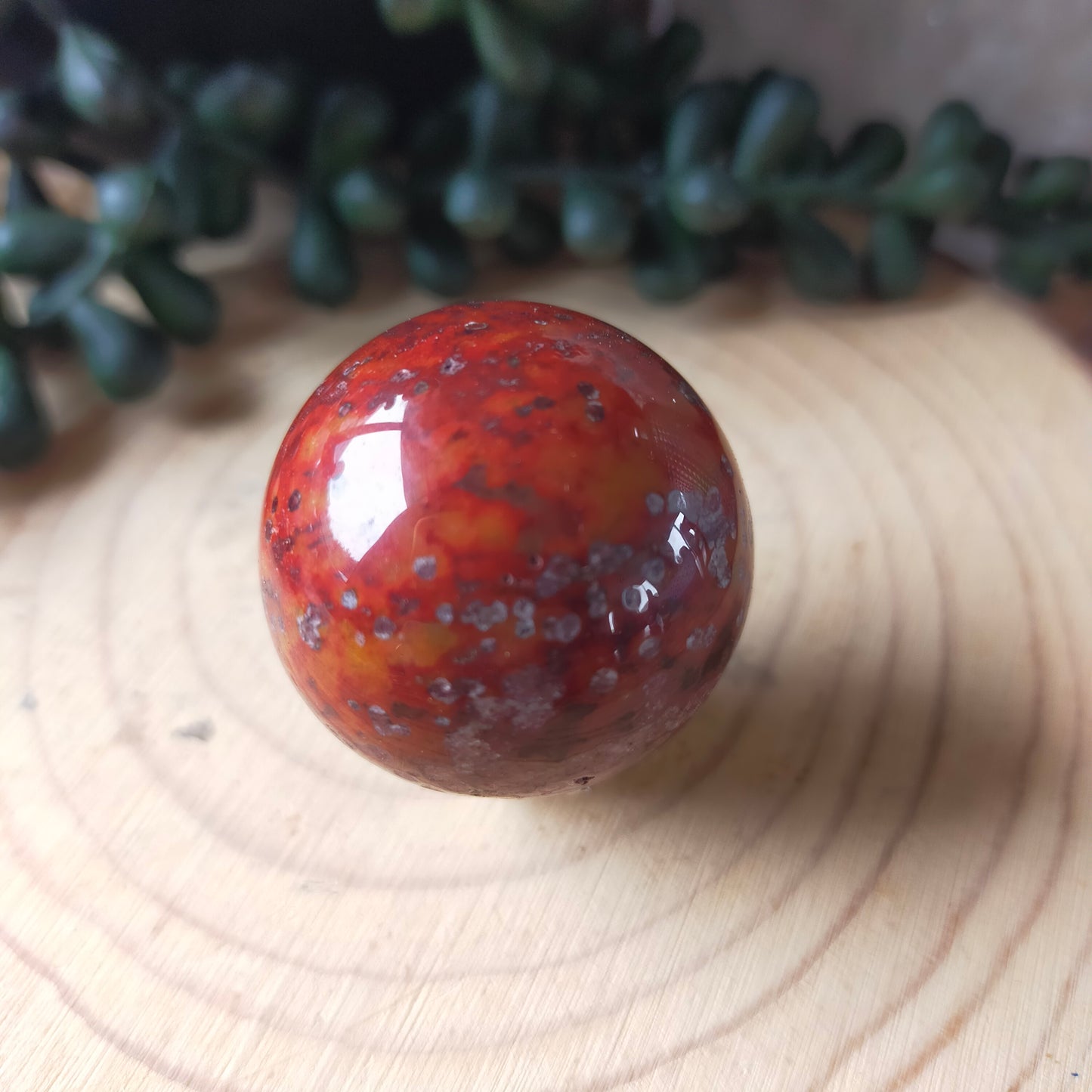 Gorgeous Small Ocean Jasper Spheres